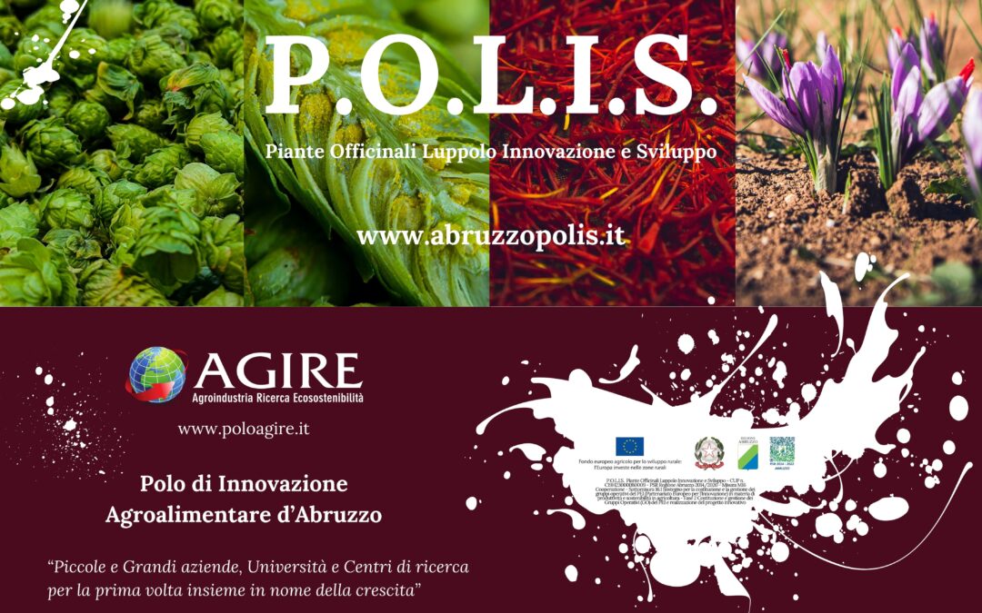 SANA Food 2025 36° Salone internazionale del biologico e del naturale