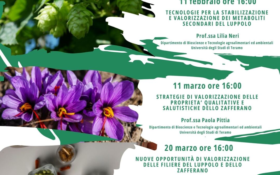 Secondo Ciclo di Webinar